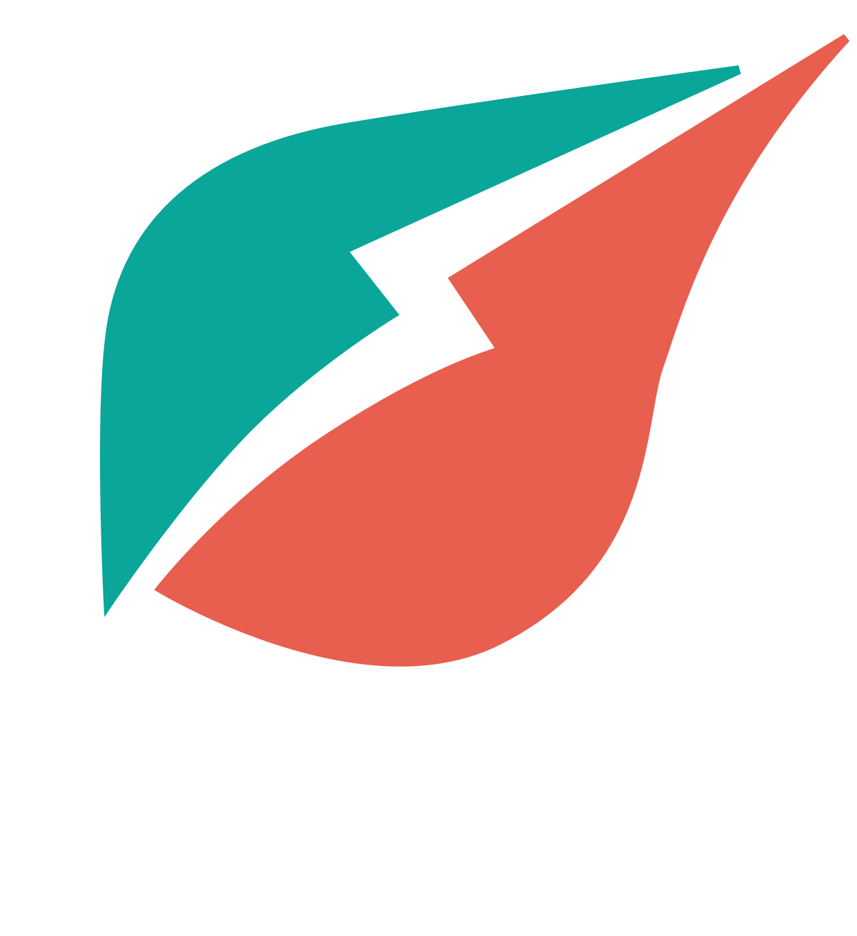 Wexus Logo