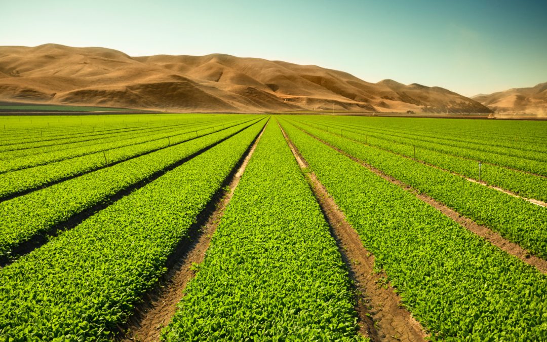 Startups Focus on the Microbiome As An Organic Solution to Increase Crop Yields