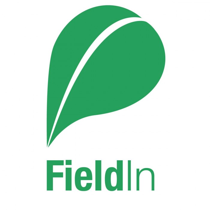 FieldIn Logo