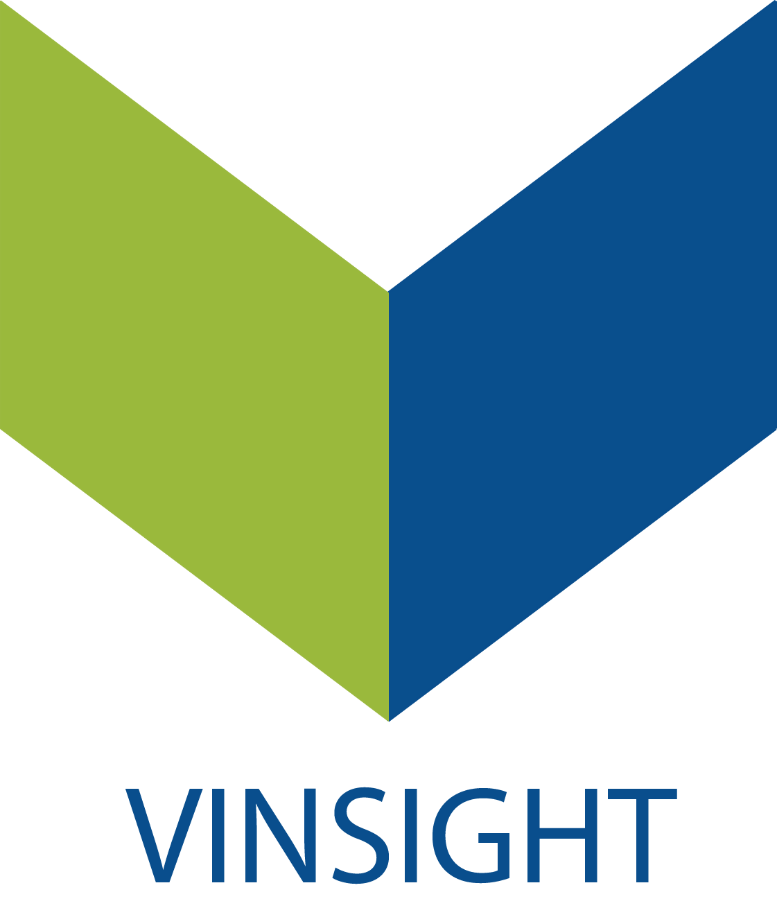 Vinsight Logo