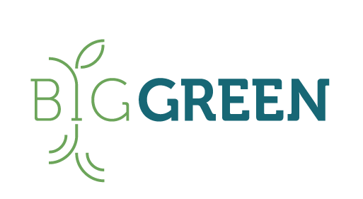 Big Green Logo