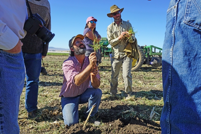 Organic Farmers and Researchers Strive to Advance Soil Care