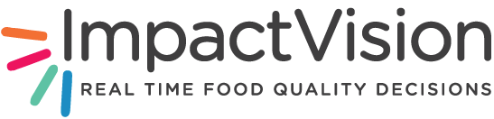 Impact Vision Logo