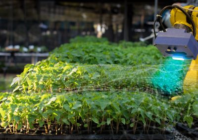 AI-Based Startup Leaders Discuss AI and Innovation in Agriculture, Food and Health 