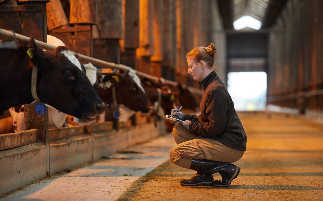 Towards Better Dairy – Global Innovation Landscape