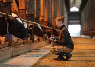 Towards Better Dairy – Global Innovation Landscape