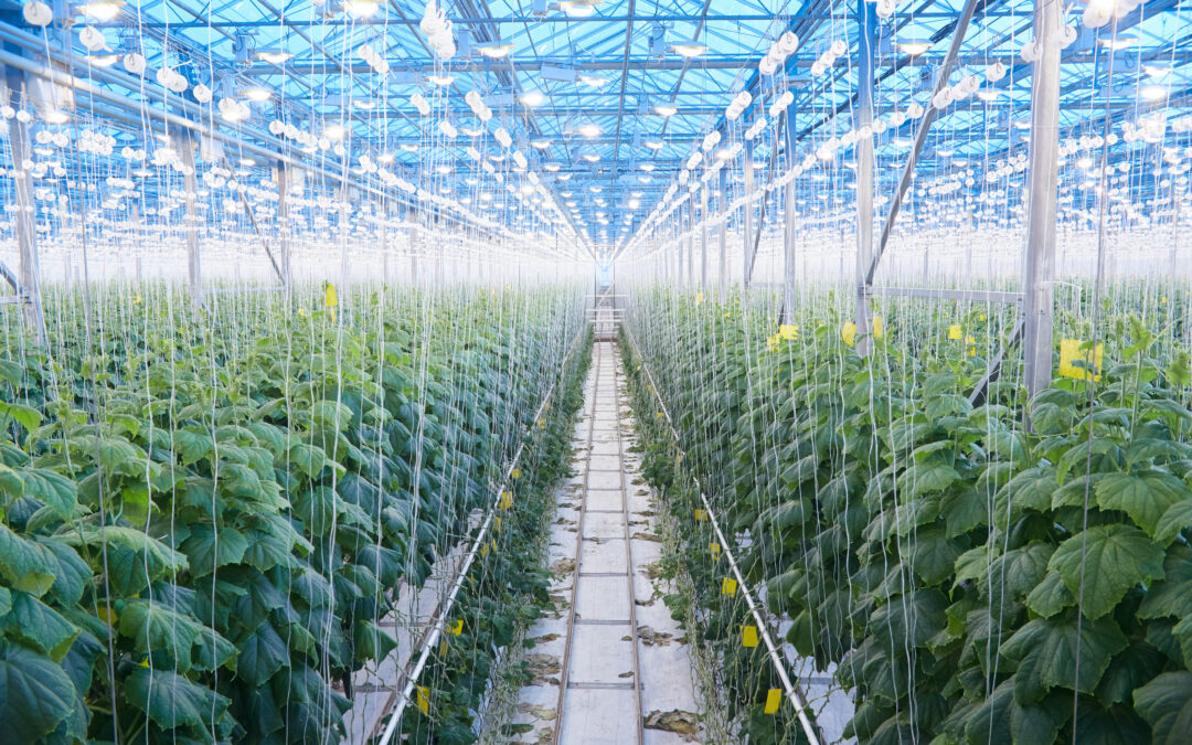 Creating the Future of Farming with Controlled Environment Agriculture